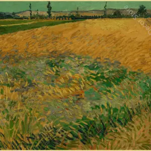 S6733e05f14054b0bbb358583b5a54cf1p