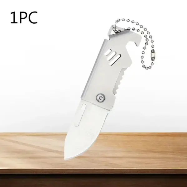 Folding Stainless Steel Mini Fruit Knife - Image 9