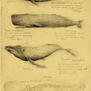 S6dd2f0cf4b26441497cffc8f0cd354e2Q