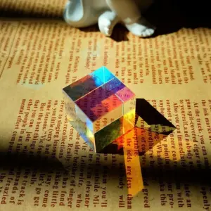 S7f85469b21a54b82b4fb0e5c3da2fd2f0