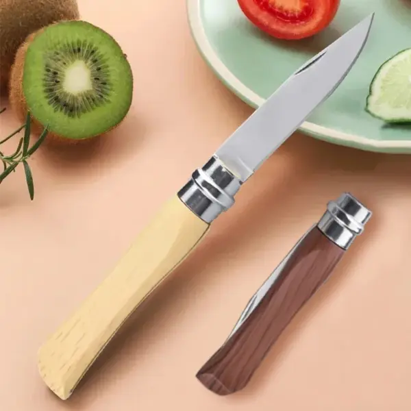 Stainless Steel Folding Fruit Knife Set