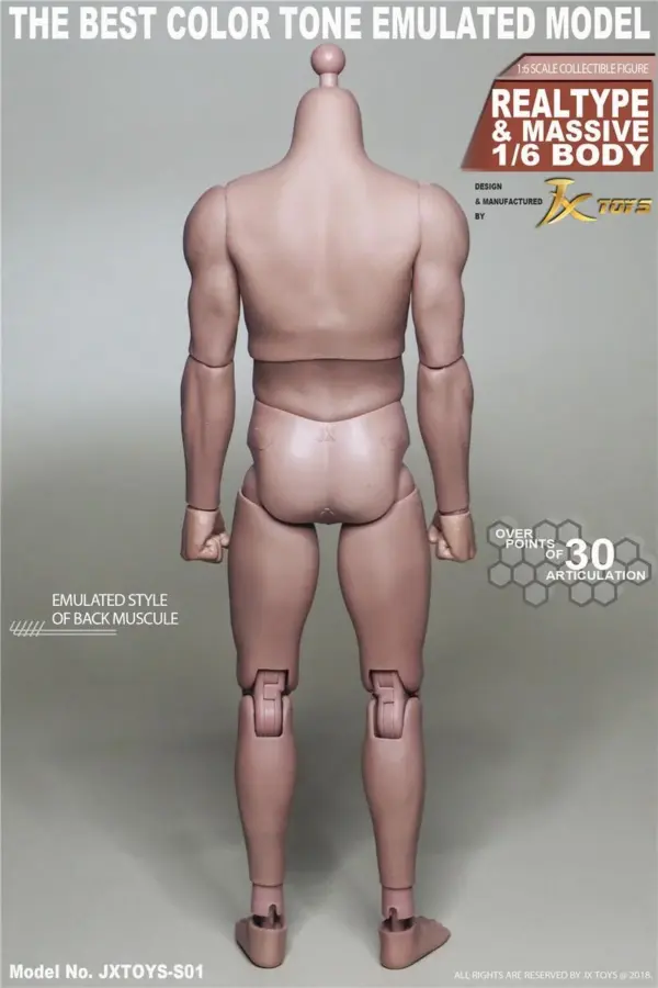 1/6 Scale Male Muscle Action Figure Body - Image 5