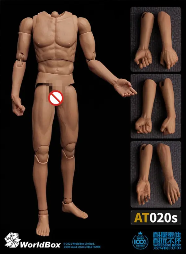 1/6 Scale Durable Male Action Figure Body - Image 17