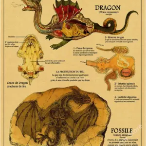 S8f7de7738d894b41be1d2ff1a68f1b79X