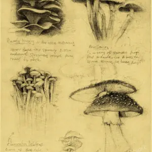 S92ca0e5e73864cfa93498f08b0a41062Y