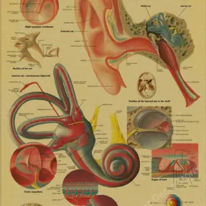 S9ada8886be7d47b484a8b09d77885973x