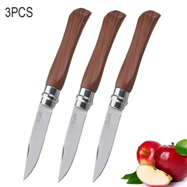 Stainless Steel Folding Fruit Knife Set - Image 11