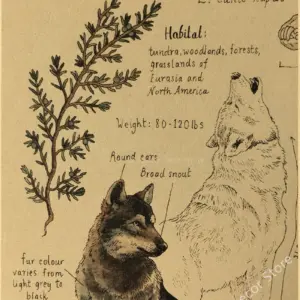 Sa0c00452d7264148bd3dee5816c2b3edE