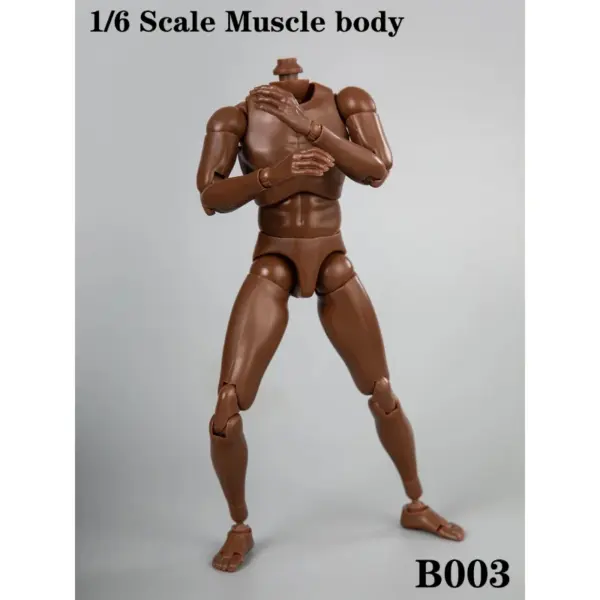 1/6 Scale B003 Black Skin Muscle Body Model