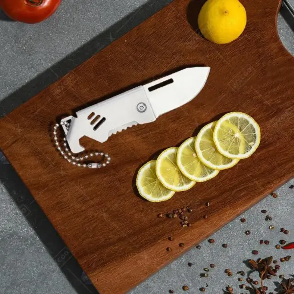 Folding Stainless Steel Mini Fruit Knife - Image 5