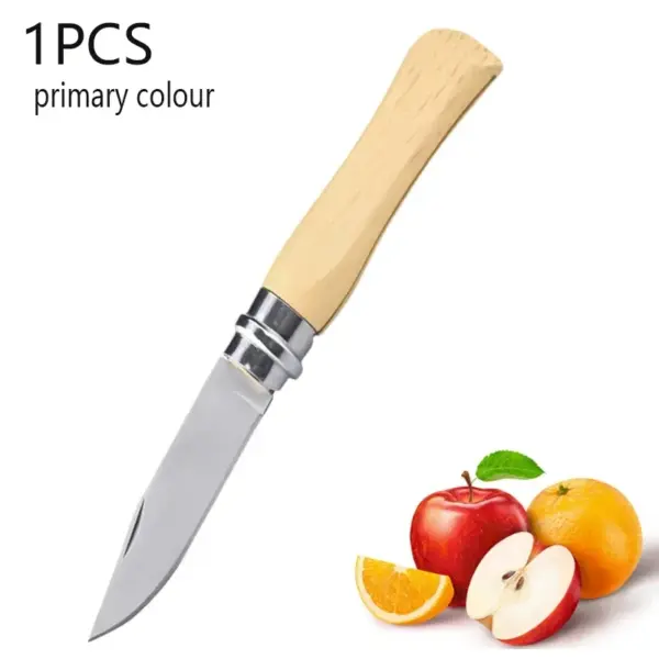 Stainless Steel Folding Fruit Knife Set - Image 12