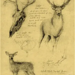 Saece700944af4a9385d9c64c6f8b880b8