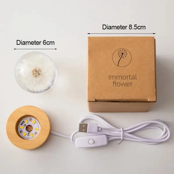 3D Dandelion Glass Ball Night Light - Image 6