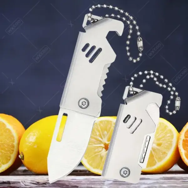 Folding Stainless Steel Mini Fruit Knife