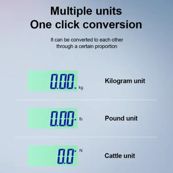 500kg Digital Crane Scale with LCD Display - Image 4