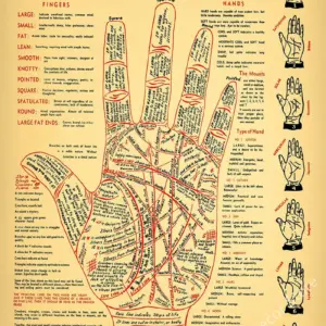 Sc33b78c9c6764e648347e5f4046e548bw