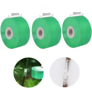 Sced80d6cc79b4b46baac1841eabe3644c