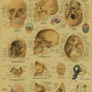 Sd07cece8d1d342eeb3191b2cec06038bu