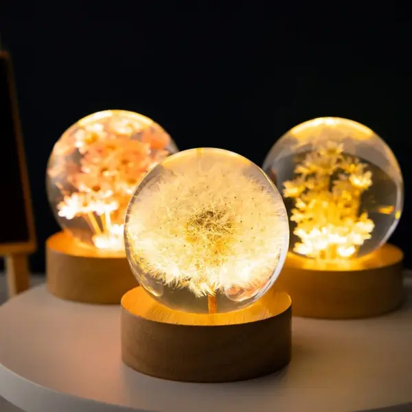 3D Dandelion Glass Ball Night Light