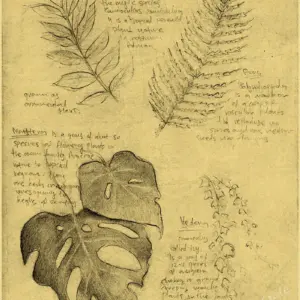 Sdfd9e22e6da6459ba17bfbce76112beek