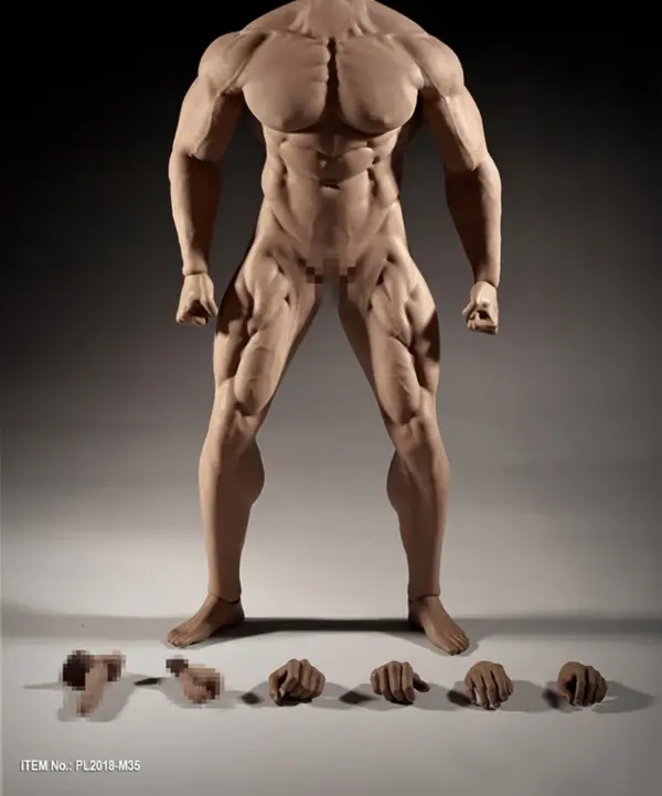 TBLeague 1/6 Scale Male Muscular Figure Body - Image 9