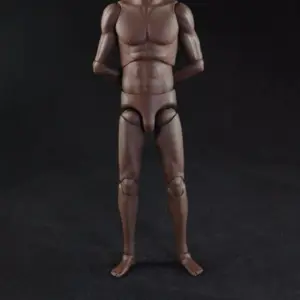 1:6 Scale Male Body Model for Action Figures 14 Seb0d0ed7a4d3456d93344cadf8664d84j