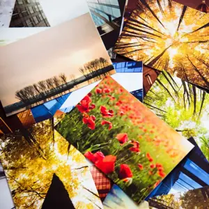 Sf53304fcb70344b2ab75394f29e7517f0