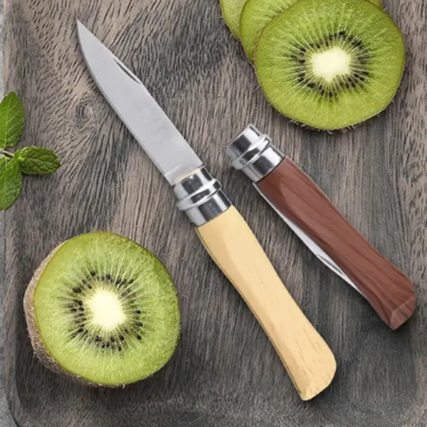 Stainless Steel Folding Fruit Knife Set - Image 5