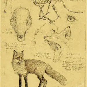 Sf73a189dd1bc4bb6aad8d20ea47f951bl