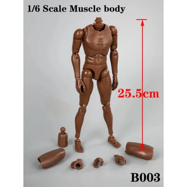 1/6 Scale B003 Black Skin Muscle Body Model - Image 4