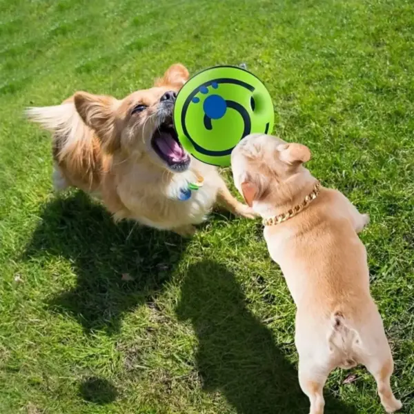 Interactive Glow Ball Dog Toy with Sound - Image 4