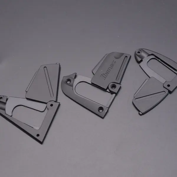 Guitar Truss Rod Cover for IBZ Guitar - Image 5