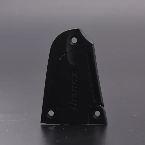 Guitar Truss Rod Cover for IBZ Guitar - Image 9