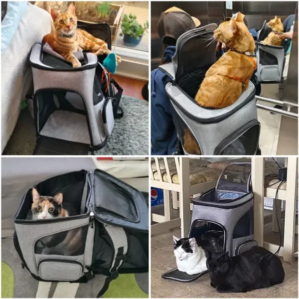 Expandable Cat and Dog Carrier Backpack - Image 5
