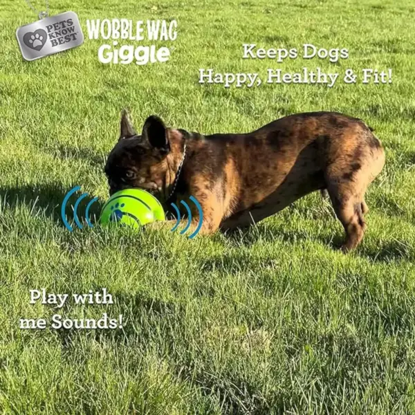Interactive Glow Ball Dog Toy with Sound - Image 3