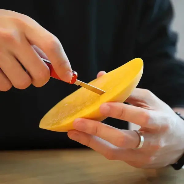 NexTool Mini Multitool Knife and Scissors - Image 3