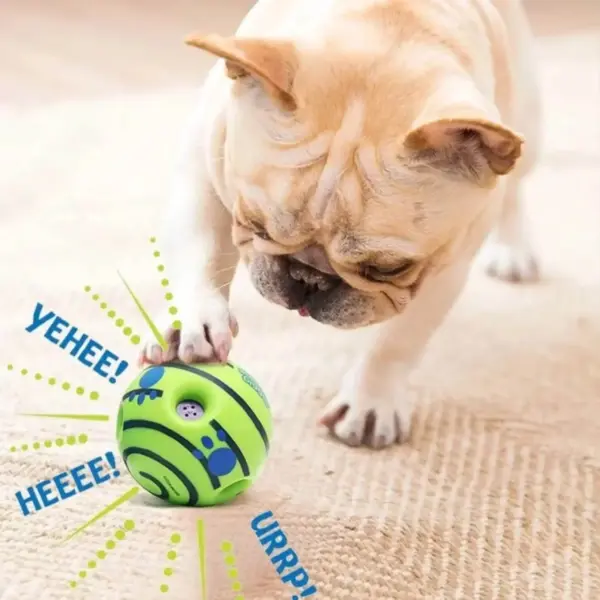 Interactive Glow Ball Dog Toy with Sound - Image 5