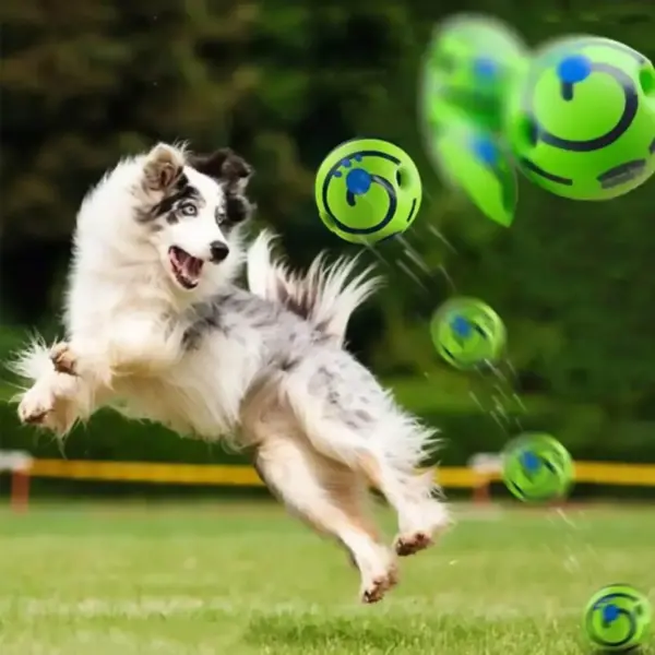 Interactive Glow Ball Dog Toy with Sound - Image 6