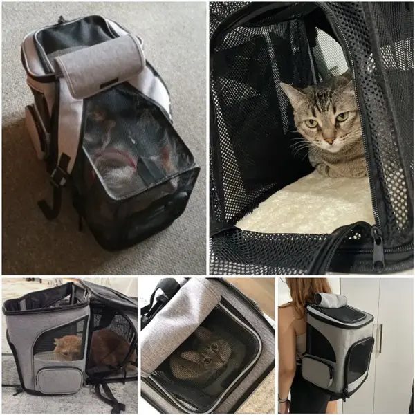 Expandable Cat and Dog Carrier Backpack - Image 6
