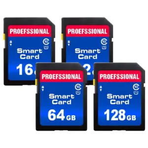 Extreme Pro 633x SDXC Card 256GB for Cameras