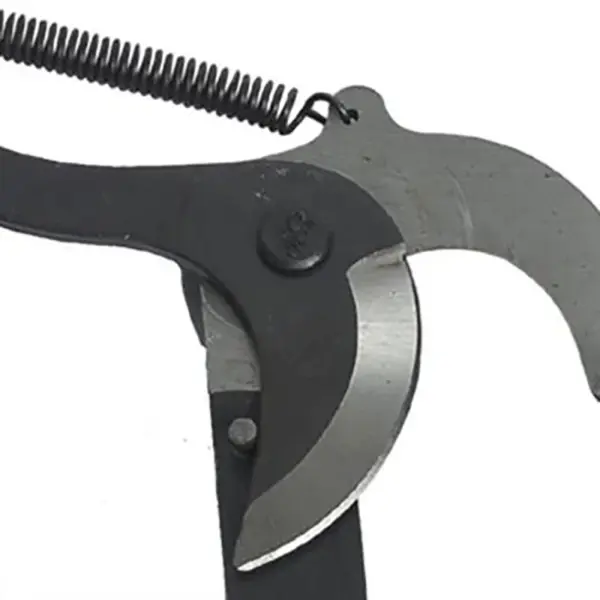 High Branch Scissors Extendable Pruning Lopper - Image 4