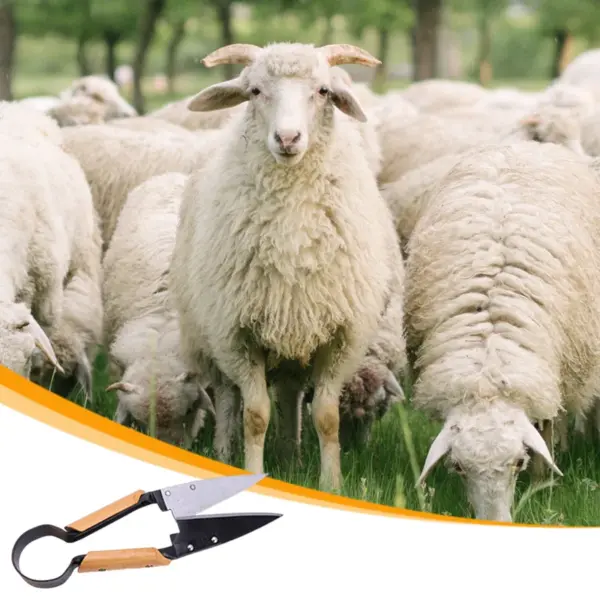 Ergonomic 13inch Stainless Steel Pruning Shear - Image 6