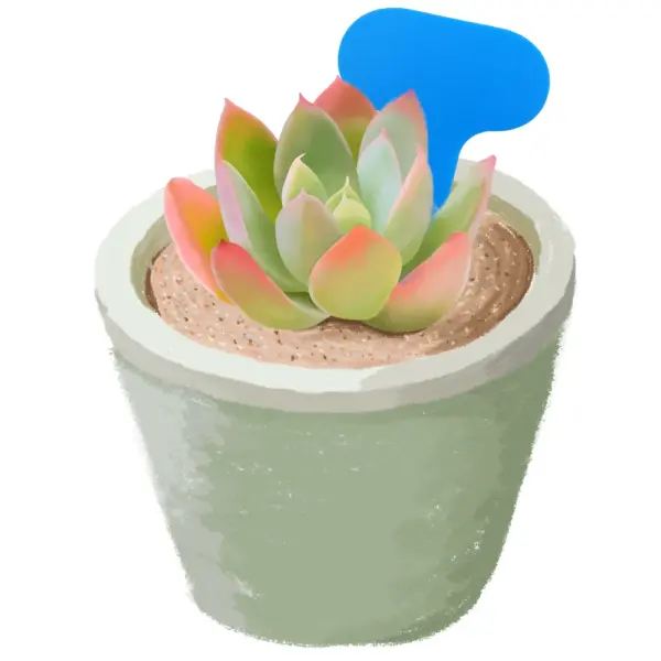 50PCS Colorful Garden Plant Labels Set - Image 4
