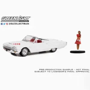 1:64 Scale 1965 Ford Thunderbird Model Car 5 S1a059c35ec194b77b42645cfdbb23dd64