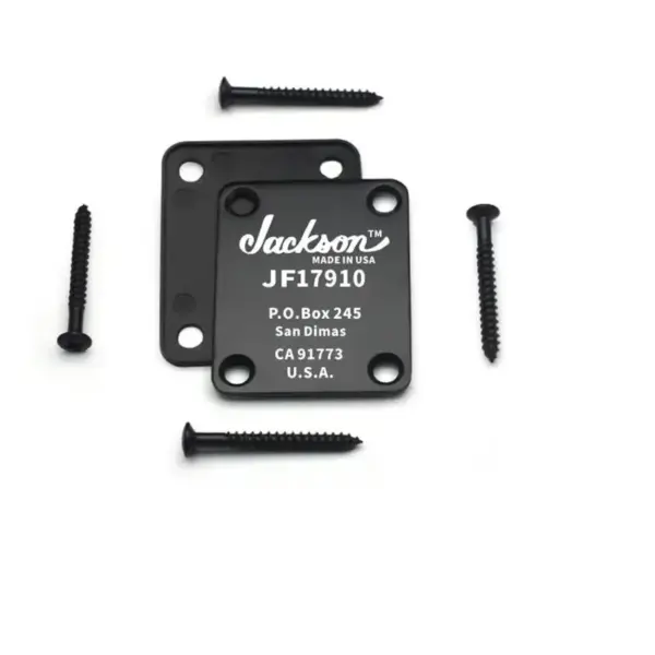 Custom Laser Engraved Guitar Neck Plate - Image 3