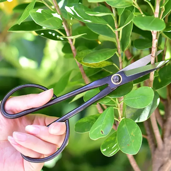 Long Handle Pruning Shears for Bonsai Gardening - Image 5