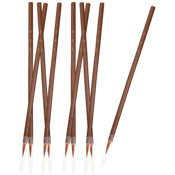 10 Pcs Chinese Calligraphy Brush Pens Set
