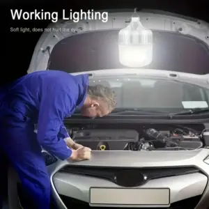 S30f36910ae8f4494aa049822ade63e06L