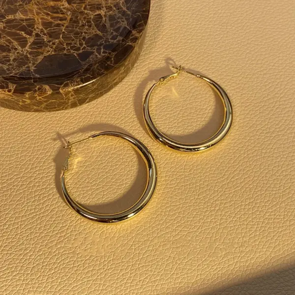 Big Round Stainless Steel Hoop Earrings - Image 10