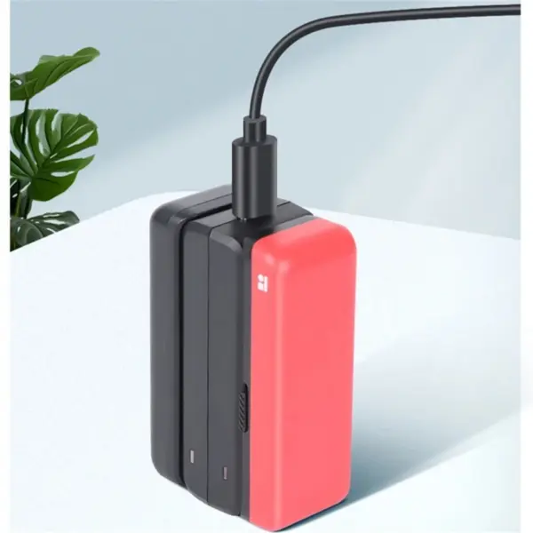 Dual Charger for Insta360 ONE R RS Batteries - Image 4